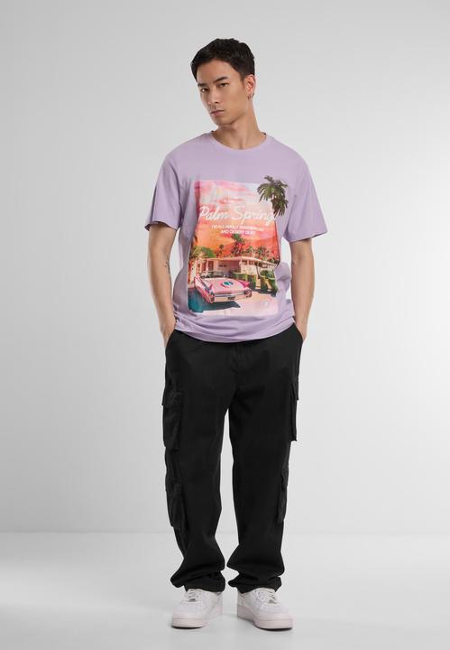 Immagine prodotto Mister Tee MisterTee Maglietta Palms Springs - 170309 (XXL)