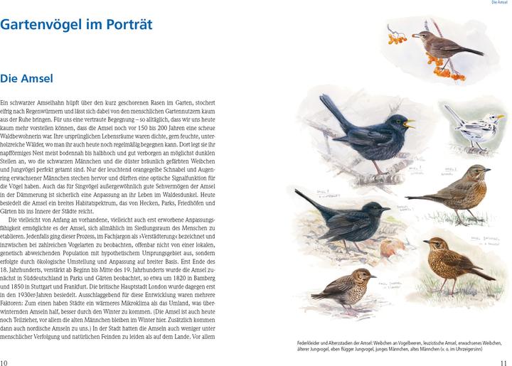 Produktbild Das grosse Buch der Gartenvögel (Deutsch, Uwe Westphal, Christopher Schmidt, 2018)