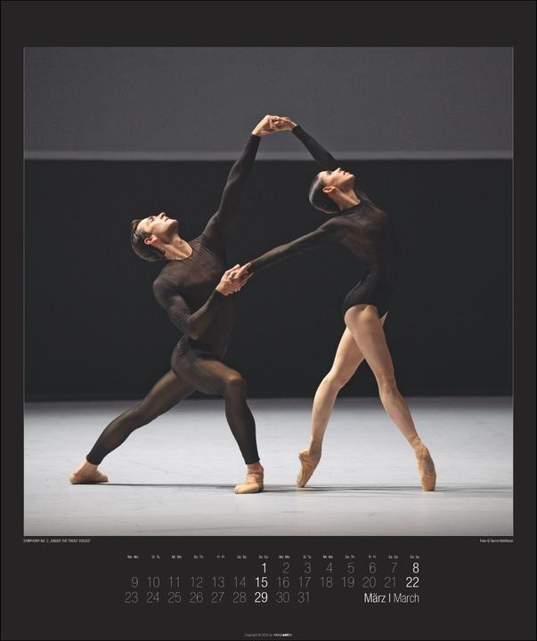 Image du produit Stuttgarter Ballett Kalender 2026 (46 x 55 cm, Couverture rigide, Allemand, Anglais)
