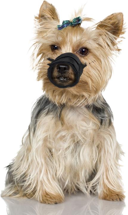 Actual product image Karlie Muzzle Comfort (3, Dog, Walks)