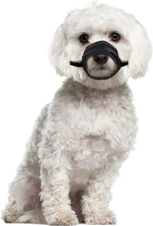 Actual product image Karlie Muzzle Comfort (3, Dog, Walks)