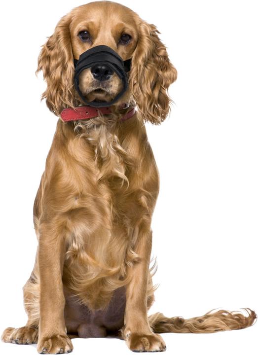 Actual product image Karlie Muzzle Comfort (3, Dog, Walks)