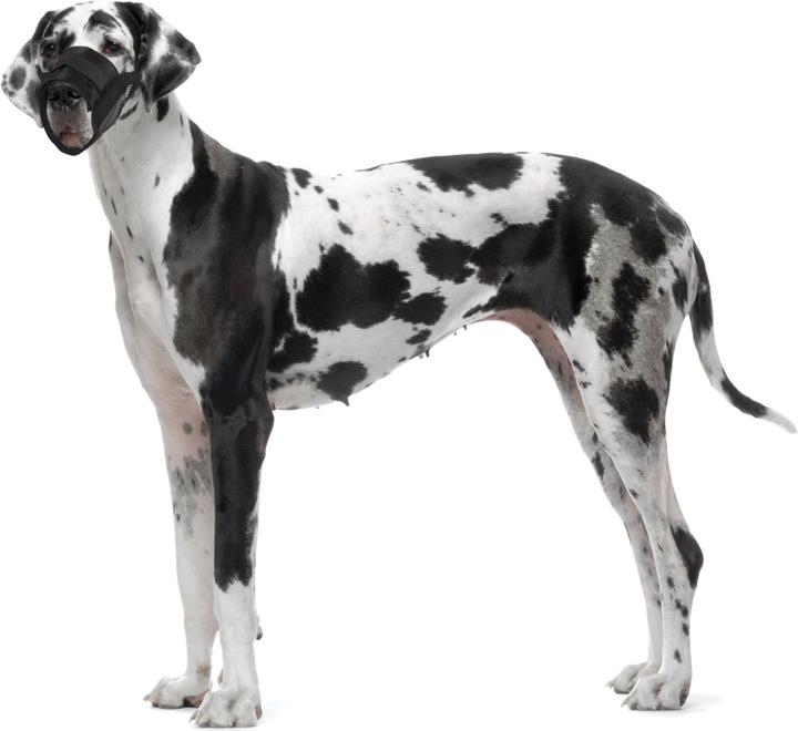 Actual product image Karlie Muzzle Comfort (3, Dog, Walks)