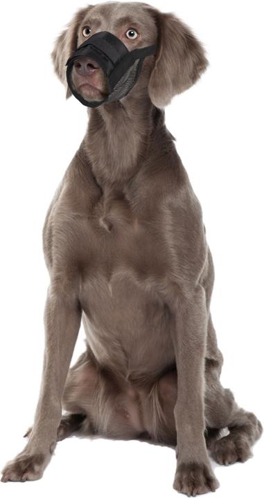 Actual product image Karlie Muzzle Comfort (3, Dog, Walks)