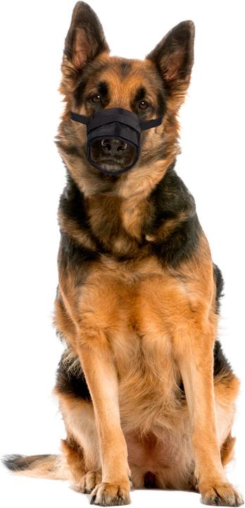 Actual product image Karlie Muzzle Comfort (3, Dog, Walks)