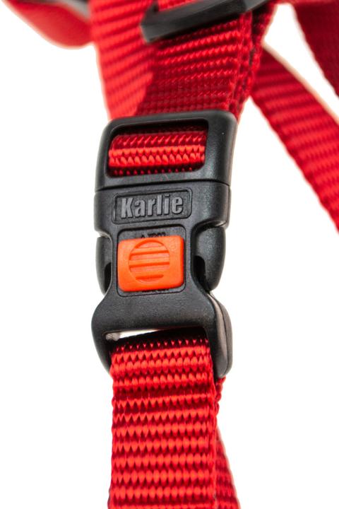 Immagine prodotto Karlie Art Sportiv Plus Tableware nuovi colori universali Mix and Match (M, Cane)
