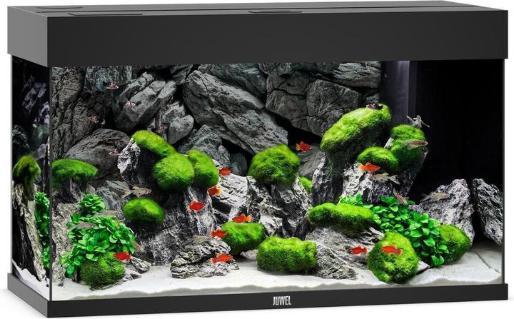 Produktbild Juwel Aquarium Rio (125 l)
