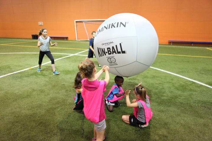 Actual product image Omnikin Kin Ball Official
