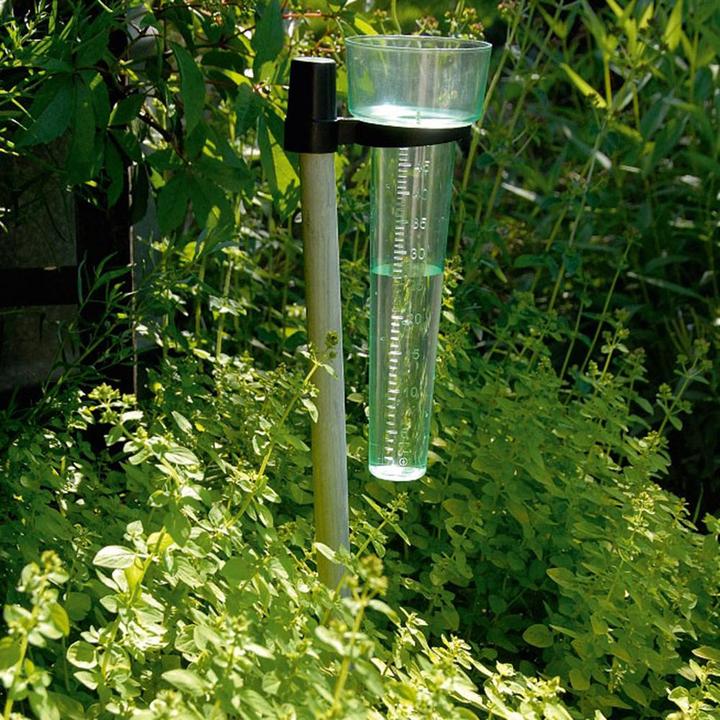 Actual product image Plastia Rain gauge