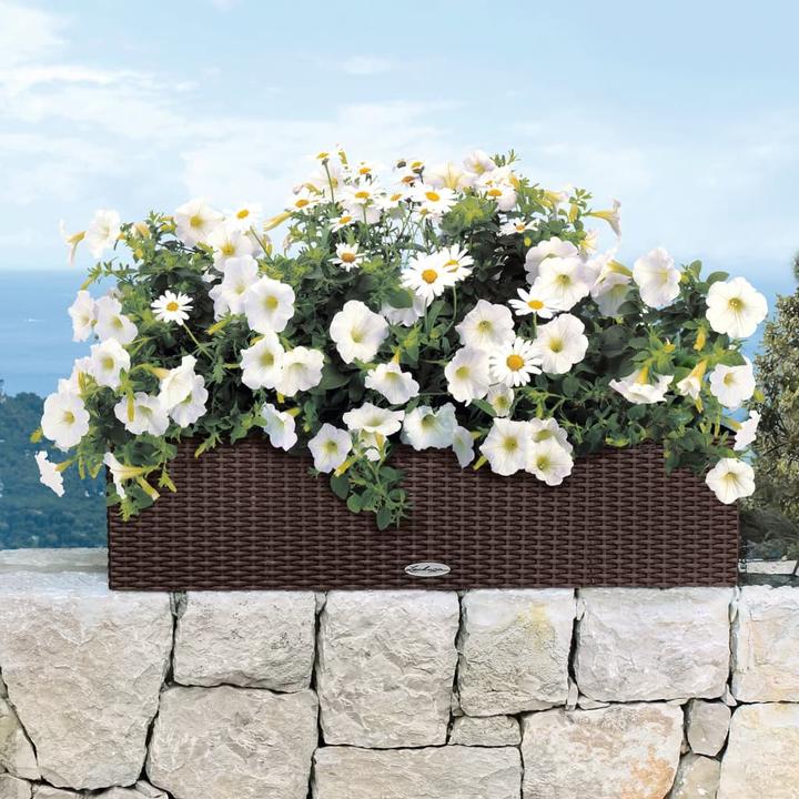 Produktbild Lechuza Balconera Cottage (19 cm)