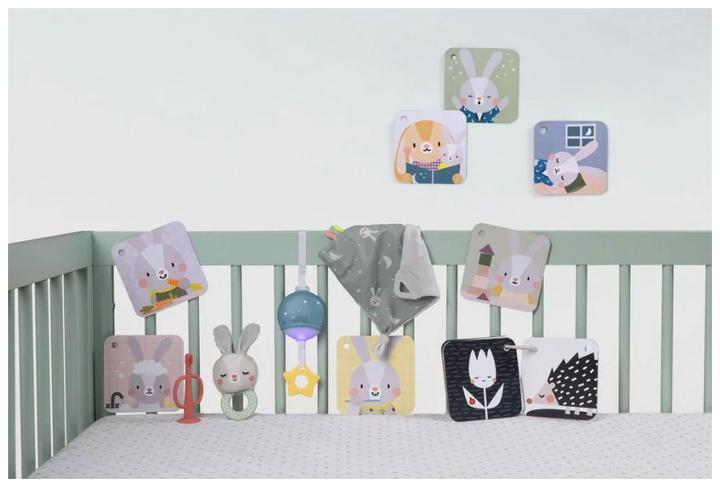 Actual product image Taf Toys Hello Baby