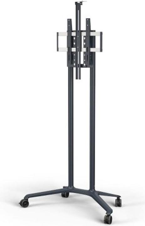 Actual product image SMS 130-001-2 - 50 kg - 81.3 cm (32 inch) - 190.5 cm (75 inch) (75", 50 kg)