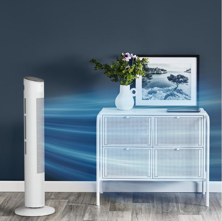 Immagine prodotto Rowenta Eole Ultra VU6871F0 (52 dB)