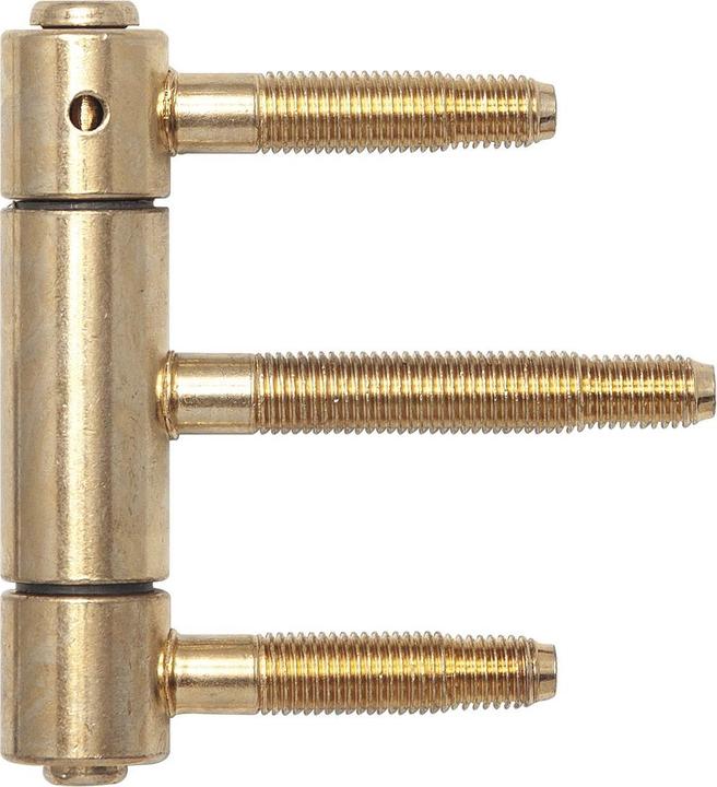 Actual product image SFS Herkula hinge, 3-part, with safety catch, ø 20 mm, brass-plated steel