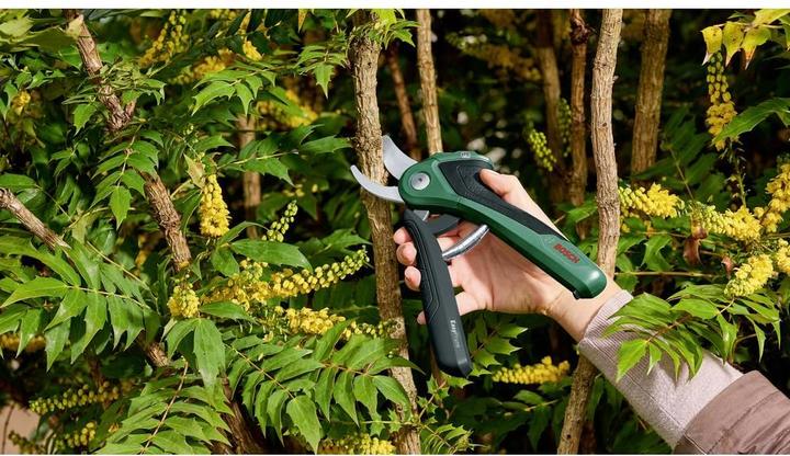 Immagine prodotto Bosch Home & Garden EasyPrune