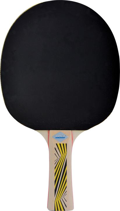 Immagine prodotto Donic Schildkröt Legends 500 Table Tennis Bat