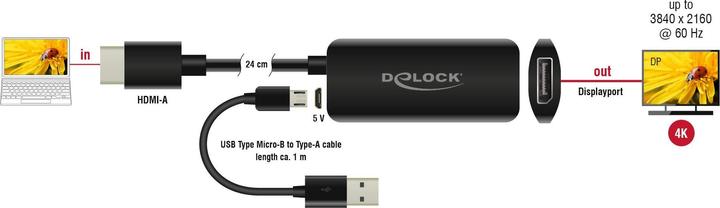 Immagine prodotto Delock HDMI a (DP, 24 cm)