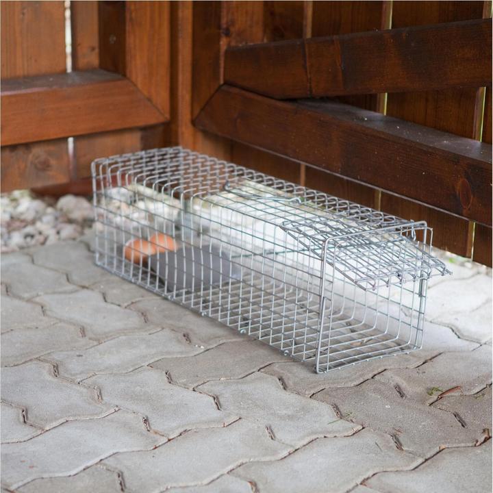 Actual product image Windhager Marten Traps