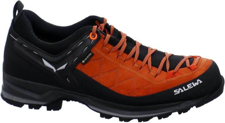 Actual product image Salewa Mountain Trainer 2 GORE-TEX® schuhe (44.5)