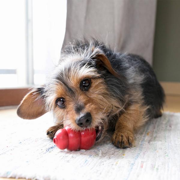 Actual product image KONG Classic (Retrieval, Dog food toy, Dog chew toy)