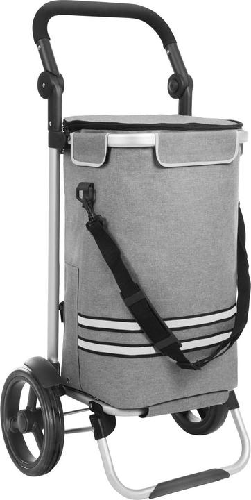 Immagine prodotto Songmics Carrello spesa KST02GY, Grigio