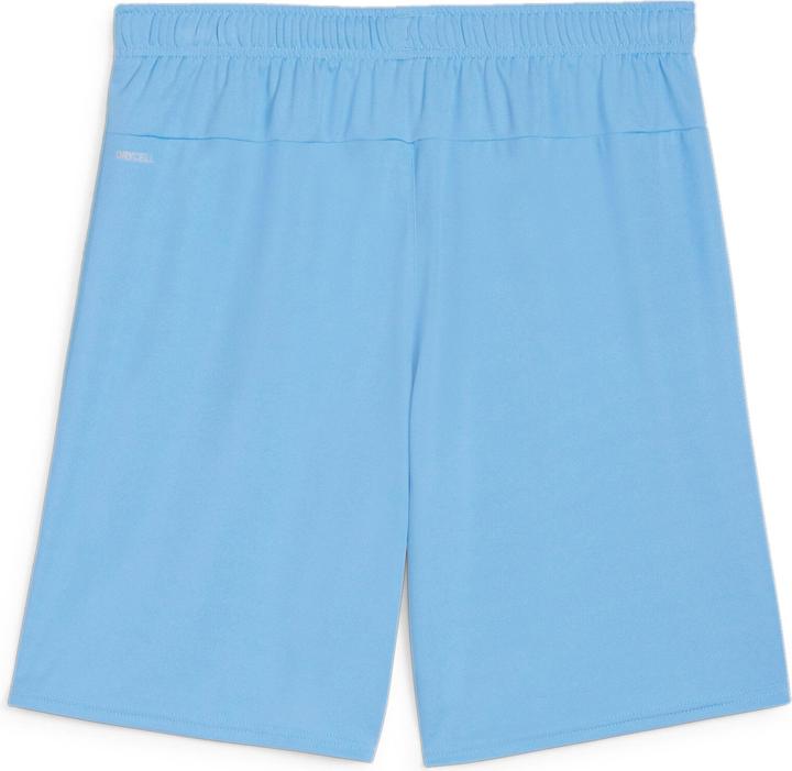 teamlightbluepumawhite