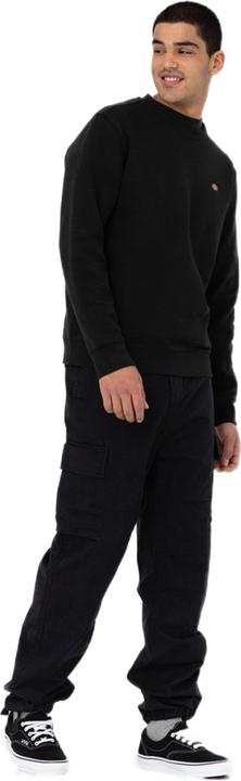 Actual product image Dickies Eagle Bend (29)