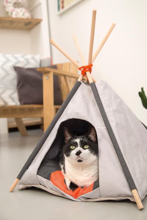 Actual product image Beeztees Tipi Tent (Cat)