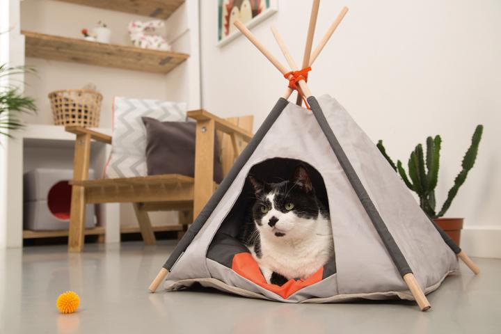 Actual product image Beeztees Tipi Tent (Cat)