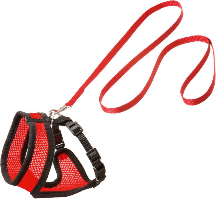 Red/black
