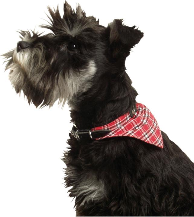 Immagine prodotto Karlie Collare Rondo con bandana (S, M, Cane, Passeggiare)