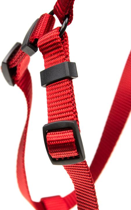 Produktbild Karlie Geschirr -2-3 Step and Go neue universal Farben Mix and Match (XS, S, M, L, Hund, Spazieren)