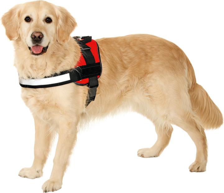 Actual product image Karlie Xtreme No Limit Harness (XS, Dog, Walks)
