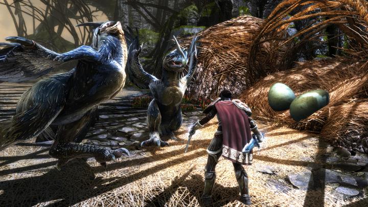 Produktbild THQ Kingdoms of Amalur Re-Reckoning (PS4, EN)