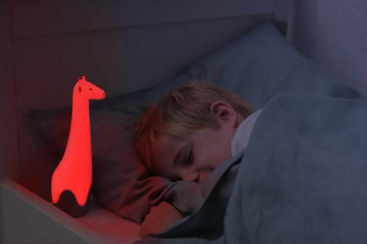 Image du produit ZaZu Bonne nuit, mon ami