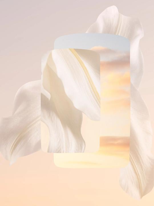 Produktbild Cartier Baiser Volé (Eau de Parfum, 30 ml)
