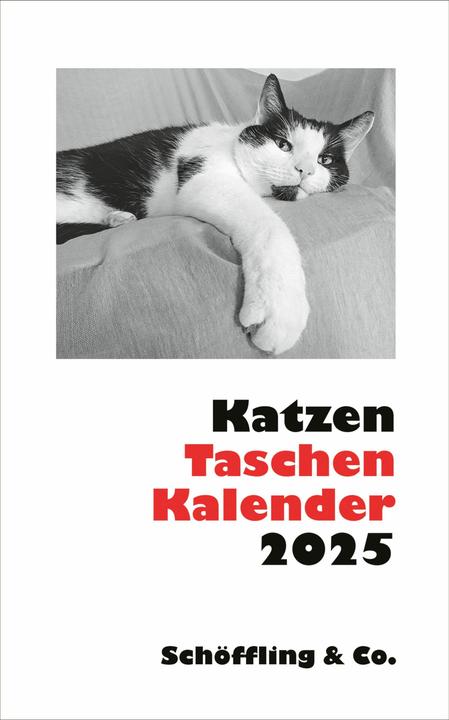 Produktbild Katzen Taschenkalender 2025 (9.5 x 15 cm, Harter Einband, Deutsch)