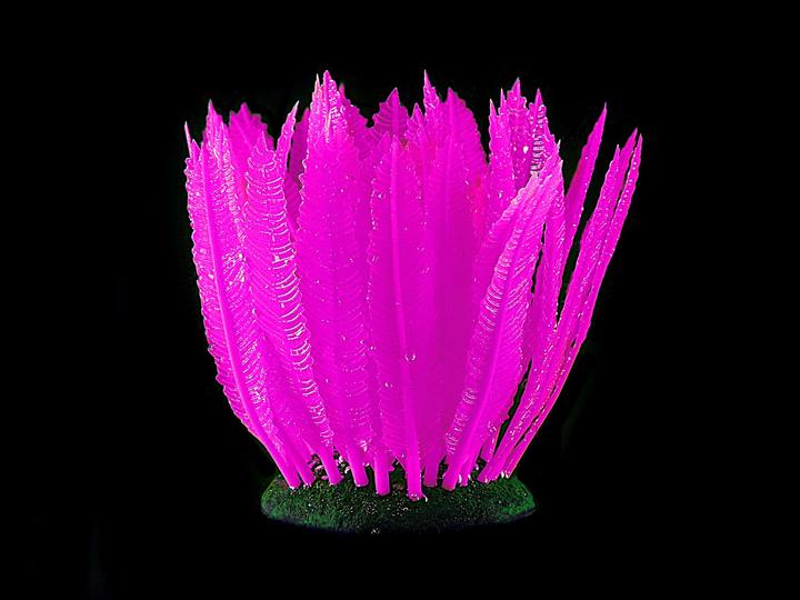 Amazonas Fantasy Plant (Dekoration, Pflanzen)