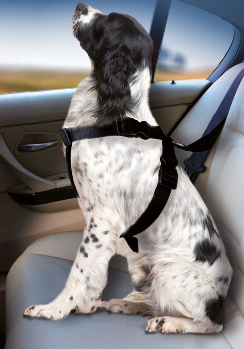 Actual product image Karlie Car dog harness (Dog, Foldable, Lockable)
