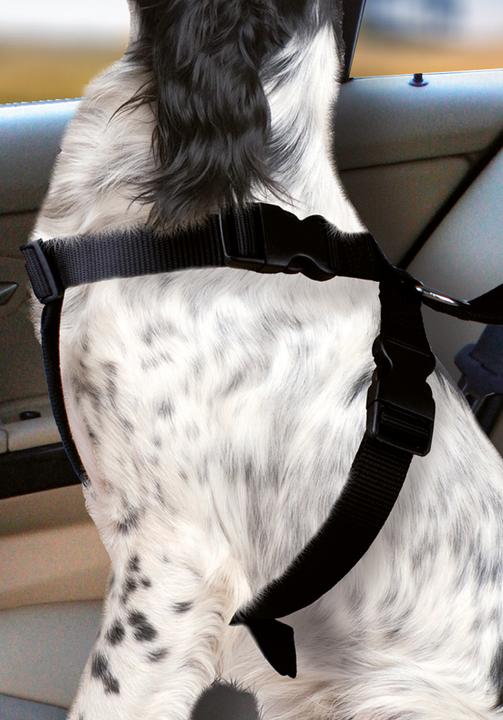 Actual product image Karlie Car dog harness (Dog, Foldable, Lockable)