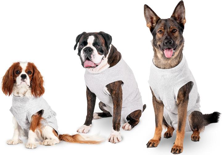 Produktbild Karlie Safety Body für Hunde, grau (60, Hundeoverall)