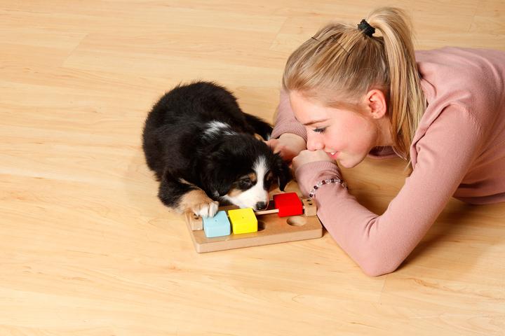 Produktbild Karlie Doggy Brain Train Rocky (Beschäftigungsspielzeug Hund)