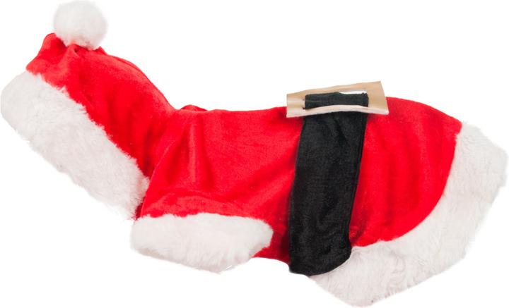 Karlie Christmas costume (20, Dog coat)