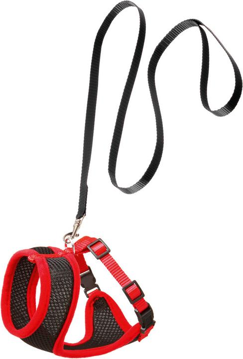 Actual product image Karlie Kitten harness and leash Harms (M, Cat, Walks)