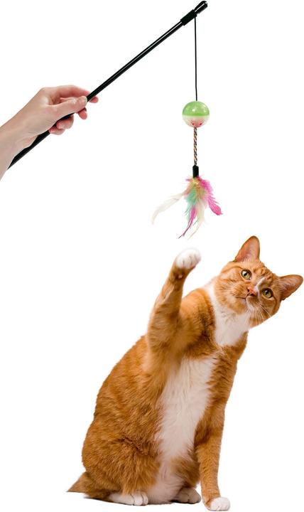 Image du produit Karlie Canne à pêche pour chats Day and Night (Canne à pêche chat)