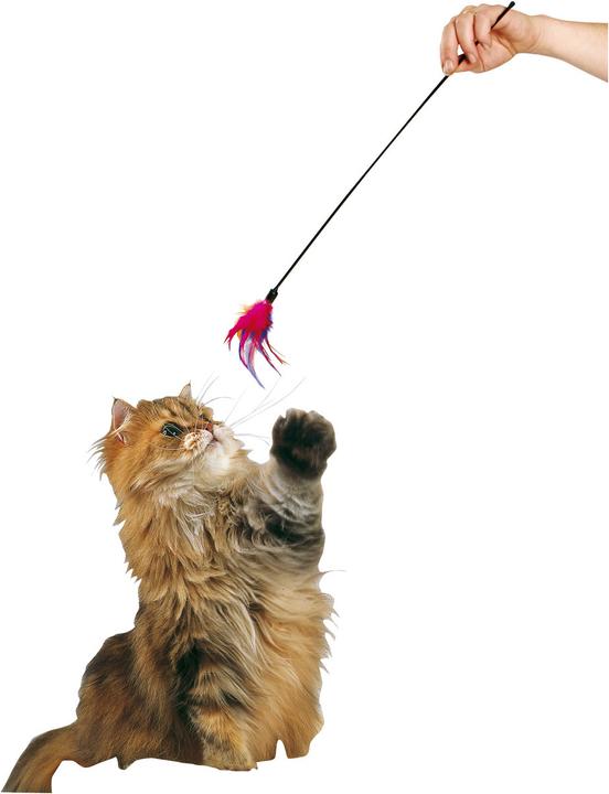 Actual product image Karlie Feather duster (Cat ball toy)