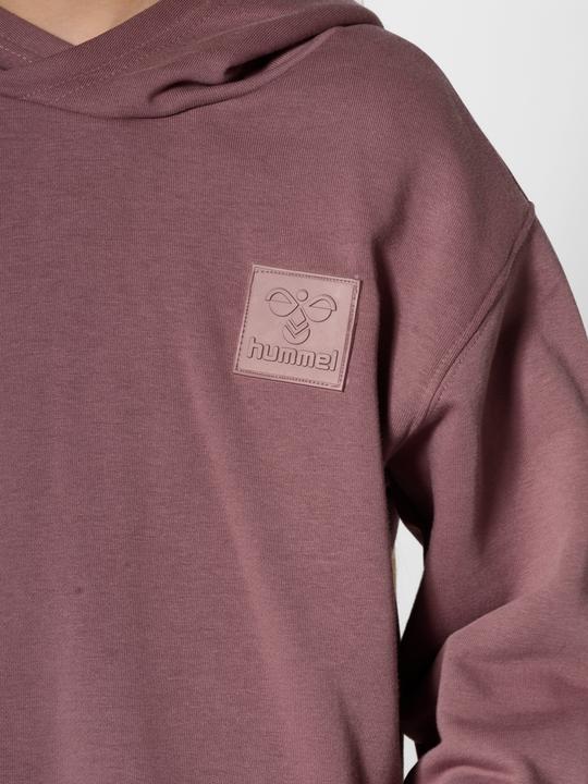 Image du produit hummel hmlCLEAN HOODIE (164)