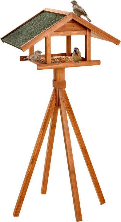 Karlie Uccello mondo selvaggio Birdhouse Remo