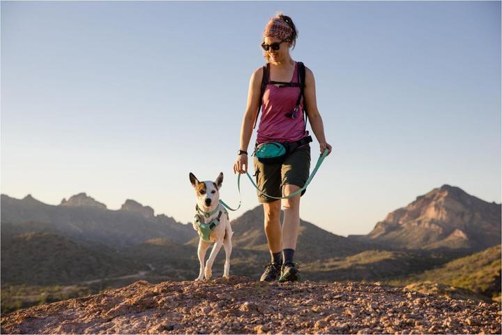 Produktbild Ruffwear Swamp Cooler Harness (M, Hund, Allgemein)