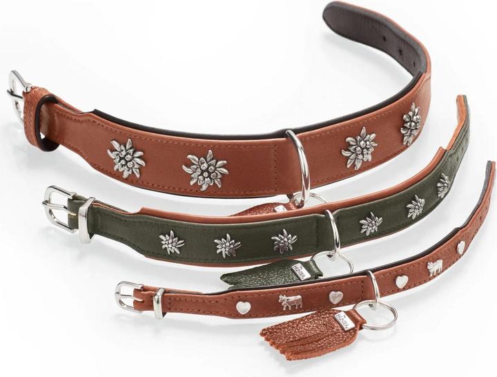 Actual product image Hunter Collar Munich 55/M, cowhide, green/cognac, neck circumference (Dog, General)
